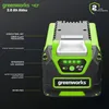 Greenworks 2926907 batteria/caricabatteria per utensili a Anteprima dell’immagine prodotto 2