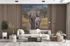 MuchoWow® Fototapete für Wohnzimmer oder Schlafzimmer Produktbild-Vorschau 4