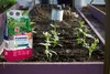 Vulkanischer Blähton - 5l - Natur - Luftdurchlässig - Ideal Produktbild-Vorschau 7