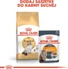 A bag of Royal Canin Ragdoll dry cat food and a pouch of Royal Canin Intense Beauty wet cat food are displayed side-by-side against a white background. Text at the top indicates adding the pouch to dry food. Náhled obrázku produktu