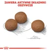 Royal Canin Medium Digestive Care, Adult, Mittelgroß (11-25 Produktbild-Vorschau 5