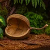 Buddhanuss Natur 8–15cm Terrarium Aquarium Deko Versteck Produktbild-Vorschau 4