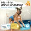 HUND IST KÖNIG Windeln für Hündinnen [3 Stk], XL (Taille Produktbild-Vorschau 2