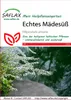 Artikelbild 1 von 'Echtes Mädesüß' aus der Kategorie Kräutersamen Anteprima dell’immagine prodotto