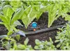 GARDENA 6-Flächen-Sprühdüse 2 Stück-1396-20 Produktbild-Vorschau 12