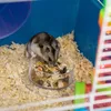 PawHut 5-stöckiger Hamsterkäfig mit Röhren, Haus, Produktbild-Vorschau 9