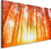 Fabelhafte Canvas LEINWAND BILDER 30x20 cm XXL Kunstdruck Produktbild-Vorschau 1