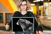 MuchoWow® Laptop Aufkleber Sticker Cover Löwe - Tiere - Produktbild-Vorschau 5