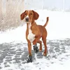 TRIXIE Pfotenschutz Walker Active - schwarz Produktbild-Vorschau 3