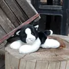 Plüschkatze 23 cm umweltfreundlich Produktbild-Vorschau 3