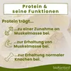 Reisprotein 500 g - 85 % veganes Protein - bioKontor Produktbild-Vorschau 7