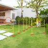 PawHut Agility Set Dogs 3-częściowy sprzęt do agility do Podgląd zdjęcia produktu 2