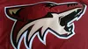 NHL Arizona Coyotes Eishockey Trikot Jersey rot blank Produktbild-Vorschau 4