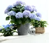 Pflanzgefäß Shabby Chic Metall Deko-Topf mit Henkeln Produktbild-Vorschau 2