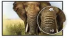 iiyama ProLite XUB2792UHSU-B6, 68,6 cm (27"), 3840 x 2160 Produktbild-Vorschau 18