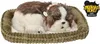 Cagnolino di peluche Perfect Petzzz Shih Tzu 96293 Anteprima dell’immagine prodotto 6