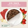 A top-down view of an open can of dog food, surrounded by ingredients like raw meat, rosehips, and what appears to be ginger or garlic. Produktbild-Vorschau