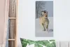 OneMillionCanvasses® - Leinwandbilder - Bild auf Leinwand Produktbild-Vorschau 5