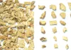 SAFLAX - Kräuter - Süßholz / Lakritze - 30 Samen - Mit Produktbild-Vorschau 4