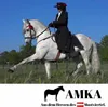 AMKA spanische Barock Schabracke mit silberfarbener Produktbild-Vorschau 5