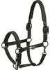 Eskadron Halfter Sparkle Double Pin Dynamic 2025 Produktbild-Vorschau 1