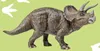 Dinosaurier Tyrannosarurus Duschtuch Badetuch Handtuch Produktbild-Vorschau 4