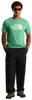 Pánské tričko The North Face M EVOLUTION HALF DOME REGULAR Náhled obrázku produktu 5