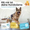 HUND IST KÖNIG Windeln für Hündinnen [3 Stk], L (Taille Produktbild-Vorschau 2