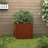 A rusty metal planter with a green bush in it, placed on grass in front of a wooden fence. Produktbild-Vorschau