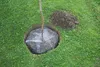 Wühlmauskorb KLEIN Ø35cm 291171 Produktbild-Vorschau 5