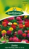 Quedlinburger Zinnien Lilliput Mischung - Blumensamen Produktbild-Vorschau 1