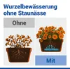 Maximex Wasserspeichermatte für Pflanzen, 2er Set, Produktbild-Vorschau 6