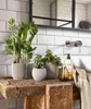 A bathroom counter with plants, soap, and a towel. Voir les images du produit