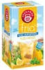 Ľadový čaj Yuzu Mint 18 tyčiniek Náhľad obrázku produktu 3