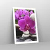 Poster - Poster ohne Rahmen - Orchidee Bambus Dekoration Produktbild-Vorschau 7
