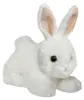 Plyšový mini králik flopsie biely 20,5 cm Náhľad obrázku produktu 2