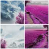 Bild auf Leinwand - Leinwandbild - Heidefeld Baum Wolken Produktbild-Vorschau 8