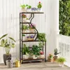 A plant stand filled with various plants on a wooden porch. Voir les images du produit