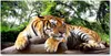 Tulup® Glas-Bild - 100x50 -Wandkunst - Wandbild hinter Produktbild-Vorschau 1