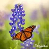 Wildblumenmischung Biodiversität 2 kg = 1000 m² – 62 Arten Produktbild-Vorschau 4