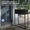 ML-Design portafiori rettangolare, 60x25x78 cm, nero, in Anteprima dell’immagine prodotto 4