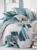 3 tlg Baumwolle Renforce Bettwäsche 200x200 + 80x80 cm Produktbild-Vorschau 6