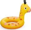 Bestway® Bouée Lil Pal™ assortie Voir les images du produit 23