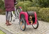 TRIXIE 12813, Pevná zvieracie prepravka, Nosič na bicykel Náhľad obrázku produktu 9