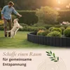 Floranica Beetumrandung Beeteinfassung 10 x 200 cm Produktbild-Vorschau 6