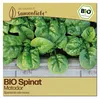 Samenliebe  Spinat Samen | Matador - winterhart & Produktbild-Vorschau 1