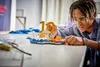 Edizioni LEGO Kylian Mbappé Momenti Importanti del Calcio Anteprima dell’immagine prodotto 12