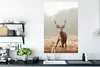 MuchoWow® Poster Hirsche - Wald - Nebel 80x120 cm - Produktbild-Vorschau 3