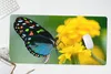 MuchoWow® Schreibtischunterlage Schmetterling - Blume - Produktbild-Vorschau 5