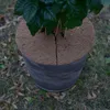 Videx® Pflanzen-Winterschutz-Kokosscheibe "CocoPro" Ø 25 cm Produktbild-Vorschau 5